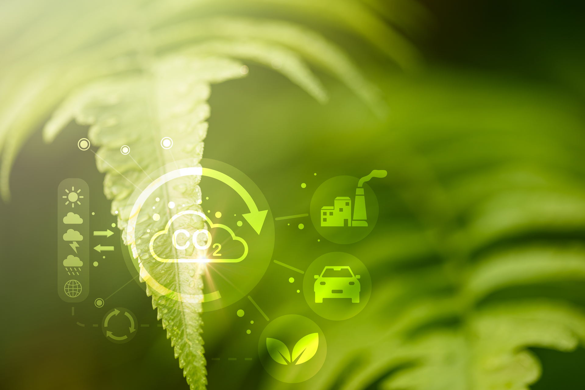 Industrial emissions pollute the environment and ecosystems  inc